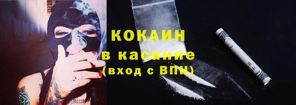 соль ск Каменка