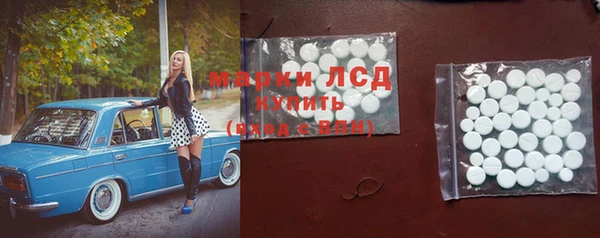 mdpv Каменногорск
